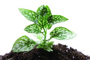 电子设备系统备份恢复教程，数据安全有保障